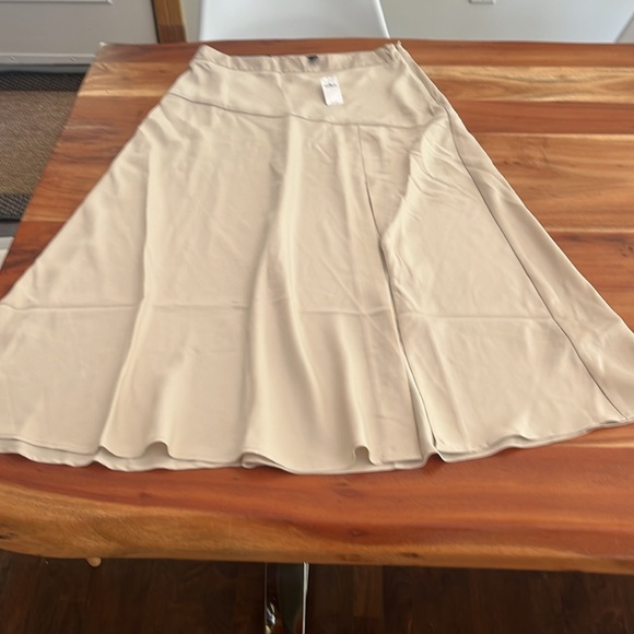 NWT Banana Republic Maxi Slip skirt in pearl oyster sz 6 - Picture 4 of 12